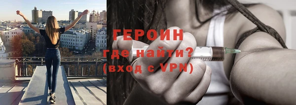 амф Тайга