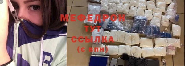 стаф Богданович