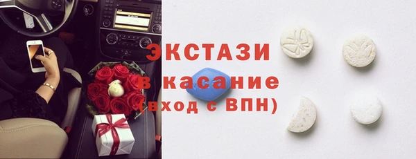 стаф Богданович