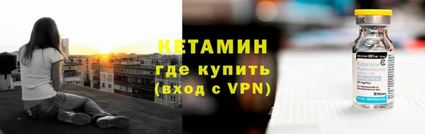 стаф Богданович
