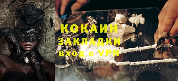 стаф Богданович