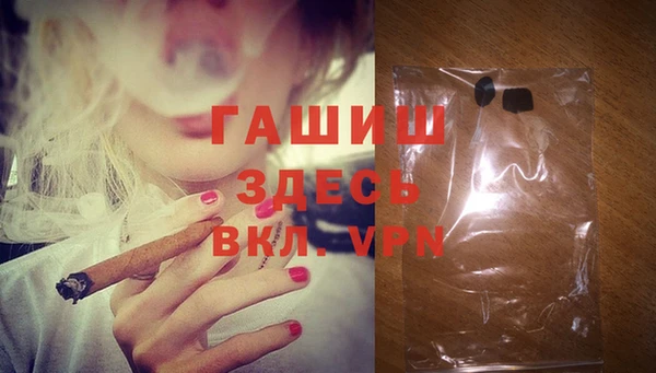 стаф Богданович