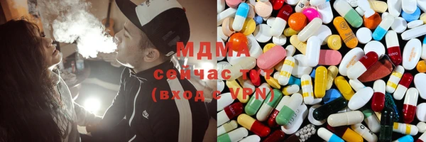 стаф Богданович