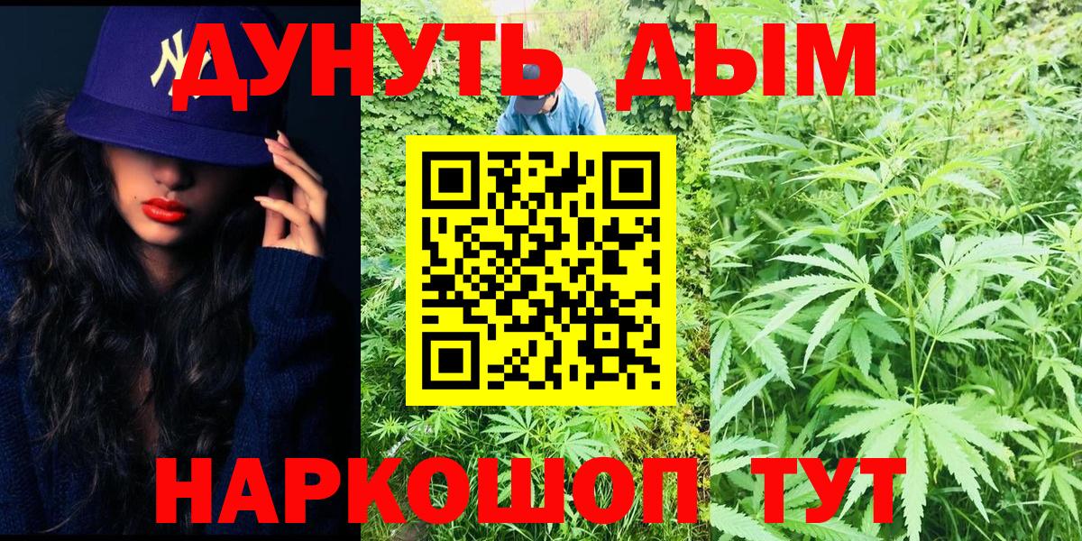 Каннабис сатива Волжск